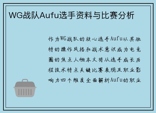 WG战队Aufu选手资料与比赛分析