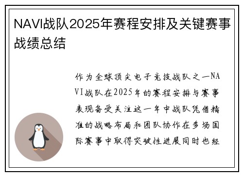 NAVI战队2025年赛程安排及关键赛事战绩总结